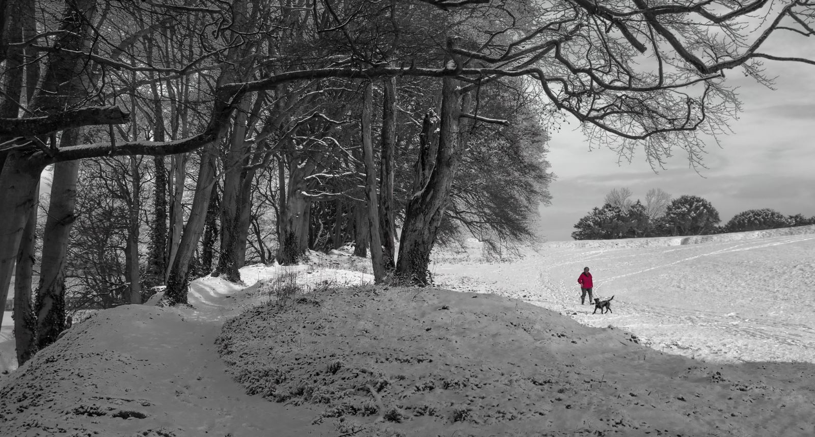 Old Sarum dog walker